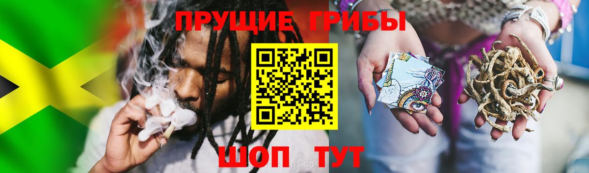 Галлюциногенные грибы мицелий Асино