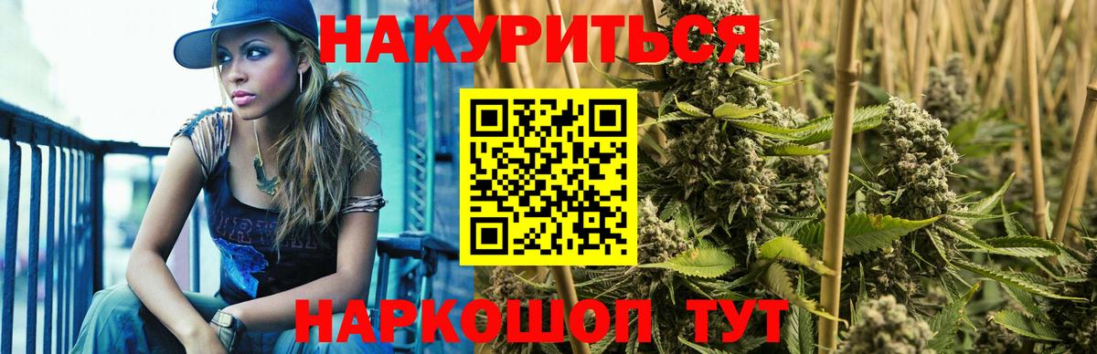 Канабис OG Kush Асино