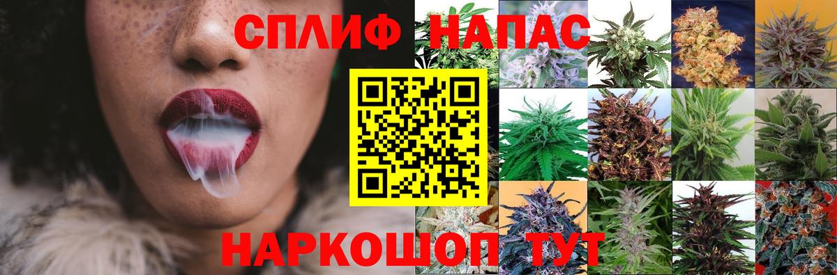 Конопля семена  Вход с VPN  МАРИХУАНА конопля  Конопля индика  Асино 